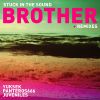 Download track Brother (Panteros 666 Dub Remix)