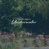 Download track Underwater