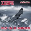 Download track Fly In B Minor (Radio Mix)