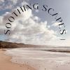 Download track Healing Soft Birds And Ocean Swell