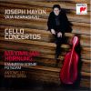 Download track Concerto For Cello And Orchestra No. 2 In D Major (Hob. VIIb-2) - 3. Allegro