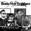 Download track A Perfect Lie