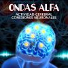 Download track Ondas Alfa Para Estudiar Conexión Total