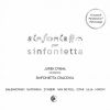 Download track Mattevi Sinfonietta Per Sinfonietta, Hommage À Krzysztof Penderecki For Strings And Percussion III. Fumus Abyssi Sol Et Aer Obscuratus Sunt