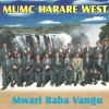 Download track Mwari Baba Vangu