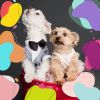 Download track Beautiful Ambience For Doggy Rest