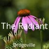 Download track The Radiant