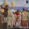 Download track 02. Concerto In D Major, BWV 972 (After The Violin Concerto, Op. 3 No. 9, RV 230, By Antonio Vivaldi) II. Larghetto