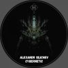 Download track Cybernetic