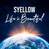 Download track Life Is Beautiful (DJ Flave Electro Mix)