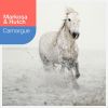 Download track Camargue