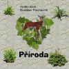 Download track Matka Příroda