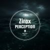 Download track Perception (Radio Edit)