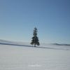 Download track A Snowy Field (New Age)