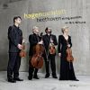 Download track 09 - String Quartet No. 16 In F Major Op. 135 - I. Allegretto