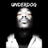 Download track Underdogs