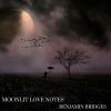 Download track Moonlit Love Notes