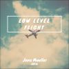 Download track Low Level Flight