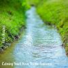 Download track Calming Small River Trickle Ambience, Pt. 16