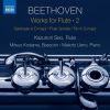 Download track Trio For Piano, Flute & Bassoon In G Major, WoO 37: III. Thema Andante Con Variazioni'