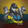 Download track Baile Da Colômbia (Buxxi Remix)