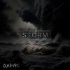 Download track The Storm