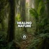 Download track Healing Waves