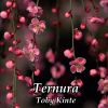 Download track Ternura (Remix)