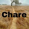 Download track Chare