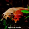 Download track Artistic Ambiance For Dogs