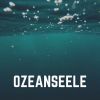 Download track Mondlicht Am Ozean