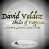 Download track Shades Of Happiness