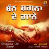 Download track Ron Layi Meri Arthi Te