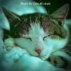 Download track Understated (Cute Kittens)