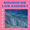 Download track Sonidos Del Sur