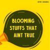 Download track Bloom Boom Boom