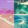 Download track Mind-Blowing Backdrops For Beaches