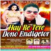 Download track Hay Re Tere Dono Endigetor