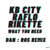 Download track What You Need (Dan: Ros Extended Remix)