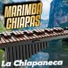 Download track Las Chiapanecas