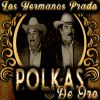 Download track Las Dos Huastecas