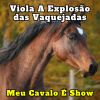 Download track De Rapariga Eu Entendo (Cover)