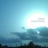 Download track Last Sunshine