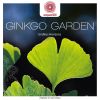 Download track Soaring Over Ginkgo Forests