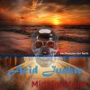 Download track Acid Junkie