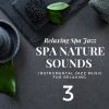Download track Nature Sounds - Massage Therapy (SPA Jazz Music)