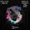 Download track Wild Acid (Martin's Remix)