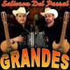 Download track Salieron Del Parral