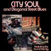 Download track Diagonal Street Blues