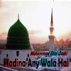 Download track Madina Any Wala Hai